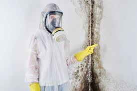 Mold Odor Removal Services in Sudan, TX